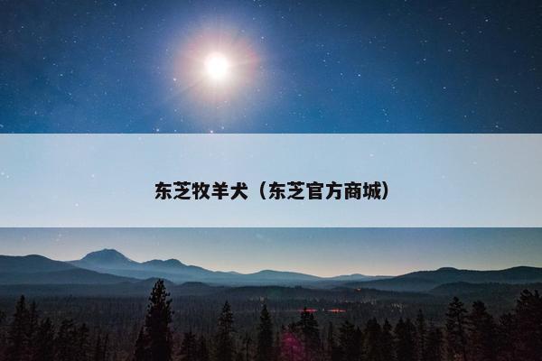 东芝牧羊犬（东芝官方商城）