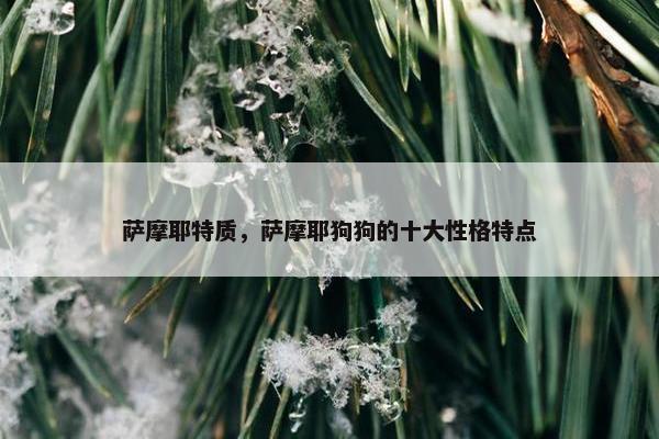 萨摩耶特质，萨摩耶狗狗的十大性格特点