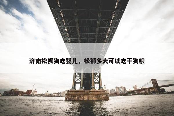 济南松狮狗吃婴儿，松狮多大可以吃干狗粮
