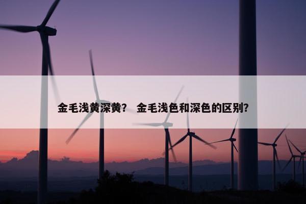 金毛浅黄深黄？ 金毛浅色和深色的区别？