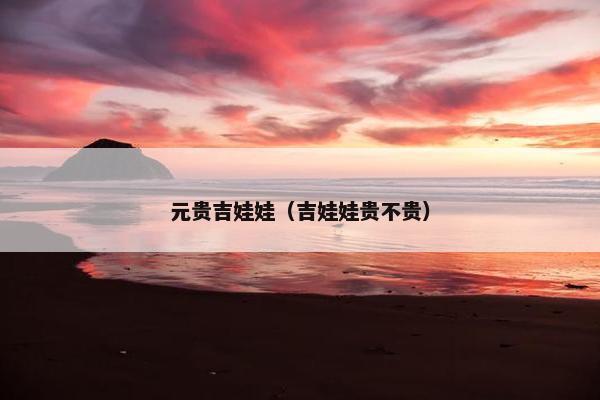 元贵吉娃娃（吉娃娃贵不贵）