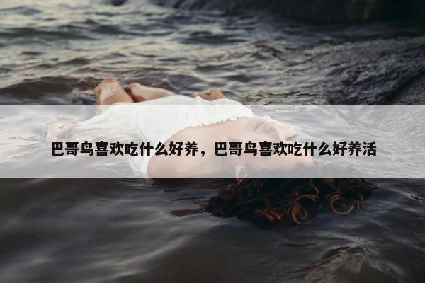 巴哥鸟喜欢吃什么好养，巴哥鸟喜欢吃什么好养活