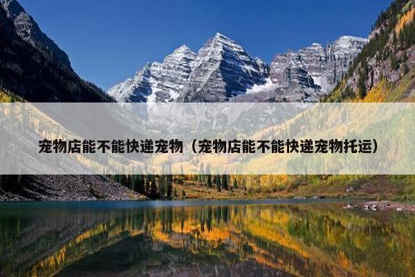宠物店能不能快递宠物（宠物店能不能快递宠物托运）