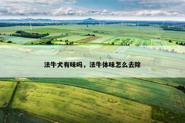 法牛犬有味吗，法牛体味怎么去除