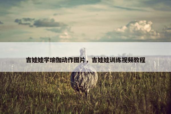 吉娃娃学瑜伽动作图片，吉娃娃训练视频教程
