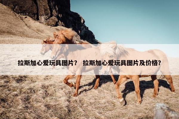 拉斯加心爱玩具图片？ 拉斯加心爱玩具图片及价格？