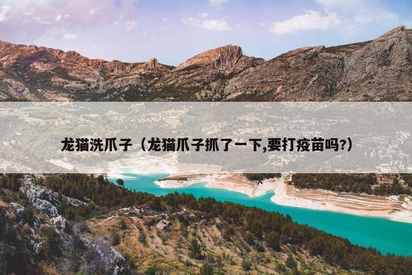 龙猫洗爪子（龙猫爪子抓了一下,要打疫苗吗?）
