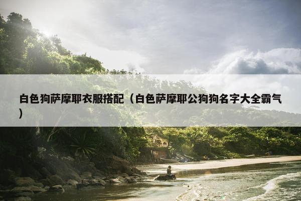 白色狗萨摩耶衣服搭配（白色萨摩耶公狗狗名字大全霸气）