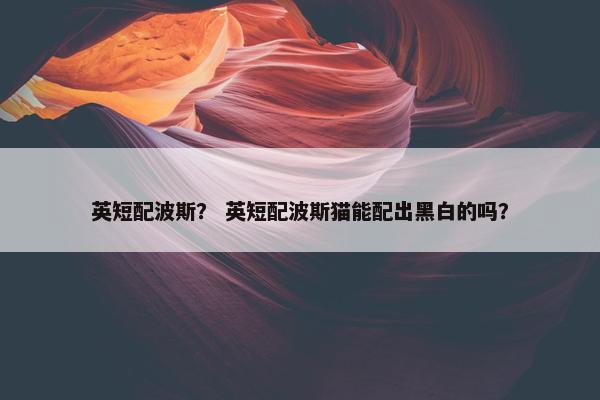 英短配波斯？ 英短配波斯猫能配出黑白的吗？