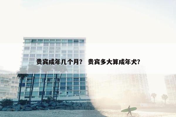贵宾成年几个月？ 贵宾多大算成年犬？