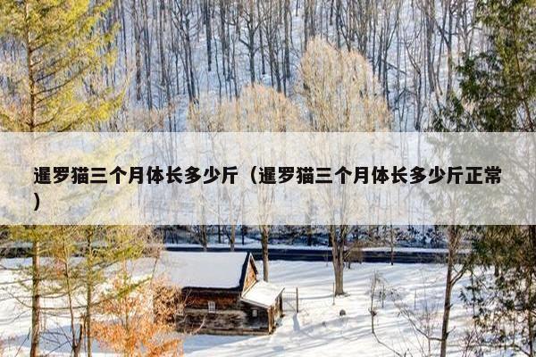 暹罗猫三个月体长多少斤（暹罗猫三个月体长多少斤正常）