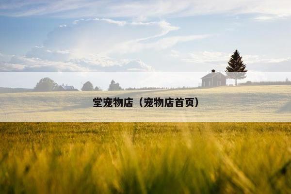 堂宠物店（宠物店首页）