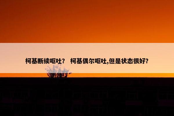 柯基断续呕吐？ 柯基偶尔呕吐,但是状态很好？