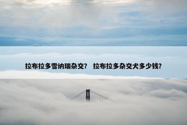 拉布拉多雪纳瑞杂交？ 拉布拉多杂交犬多少钱？