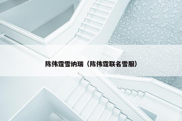 陈伟霆雪纳瑞（陈伟霆联名雪服）