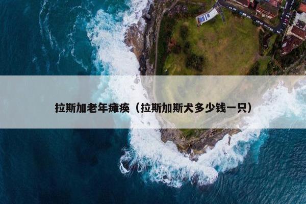 拉斯加老年瘫痪（拉斯加斯犬多少钱一只）