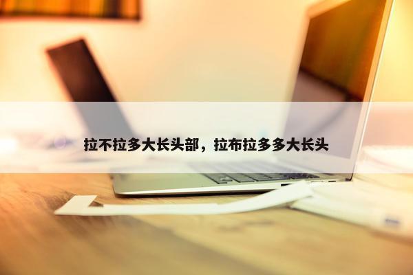 拉不拉多大长头部，拉布拉多多大长头