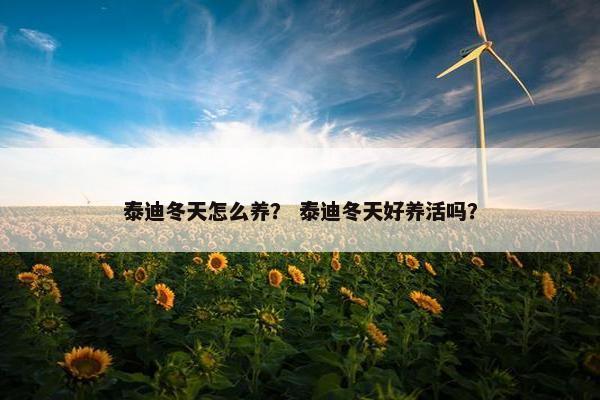 泰迪冬天怎么养？ 泰迪冬天好养活吗？