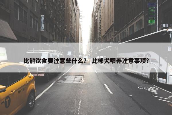 比熊饮食要注意些什么？ 比熊犬喂养注意事项？