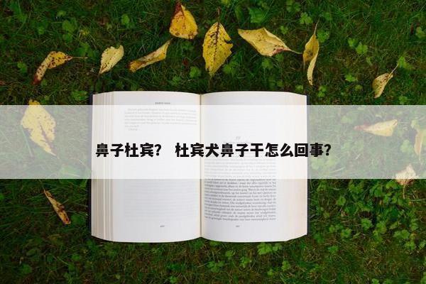 鼻子杜宾？ 杜宾犬鼻子干怎么回事？