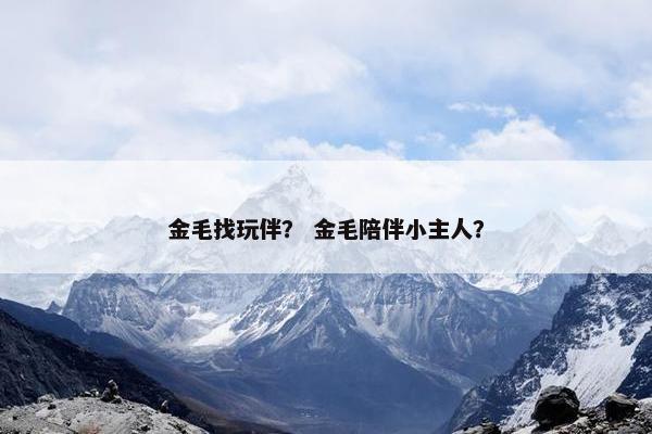 金毛找玩伴？ 金毛陪伴小主人？