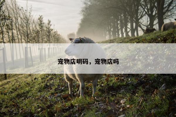 宠物店明码，宠物店吗