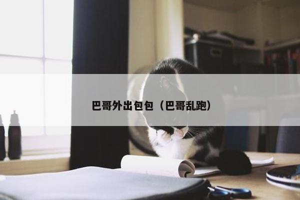 巴哥外出包包（巴哥乱跑）