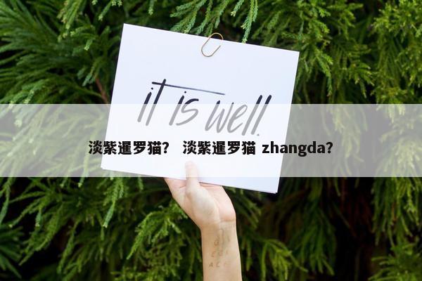 淡紫暹罗猫？ 淡紫暹罗猫 zhangda？