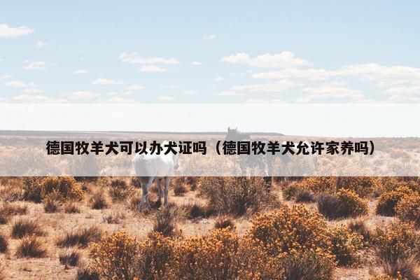 德国牧羊犬可以办犬证吗（德国牧羊犬允许家养吗）