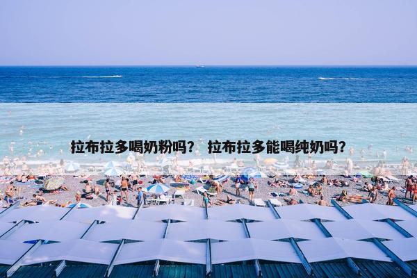 拉布拉多喝奶粉吗？ 拉布拉多能喝纯奶吗？