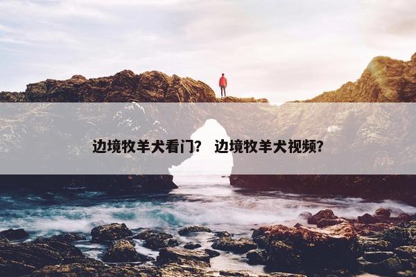 边境牧羊犬看门？ 边境牧羊犬视频？