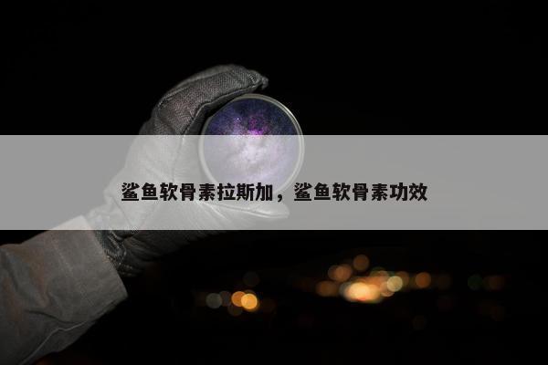 鲨鱼软骨素拉斯加，鲨鱼软骨素功效
