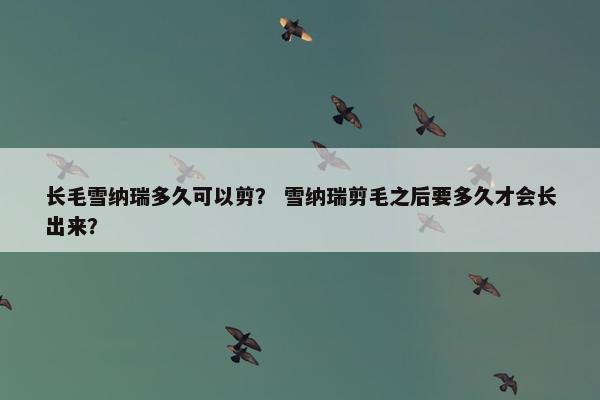长毛雪纳瑞多久可以剪？ 雪纳瑞剪毛之后要多久才会长出来？
