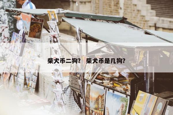 柴犬币二狗？ 柴犬币是几狗？