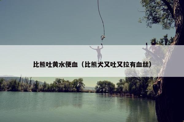 比熊吐黄水便血（比熊犬又吐又拉有血丝）