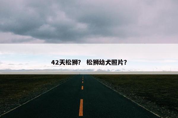 42天松狮？ 松狮幼犬照片？