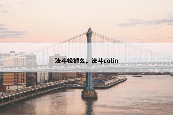 法斗松狮么，法斗colin