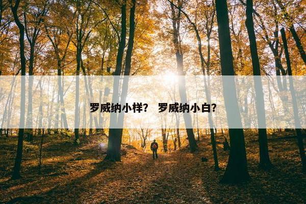 罗威纳小样？ 罗威纳小白？