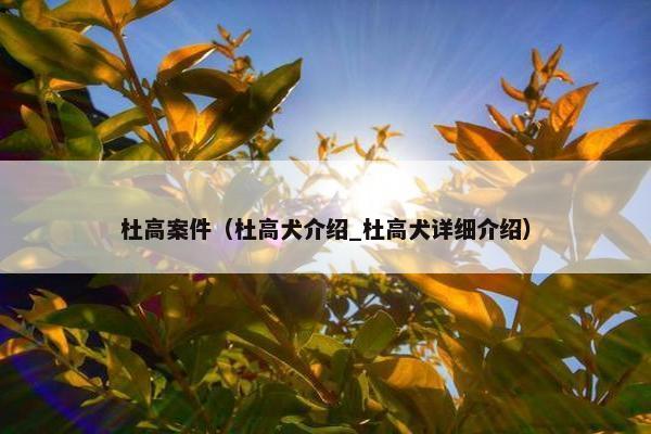 杜高案件（杜高犬介绍_杜高犬详细介绍）