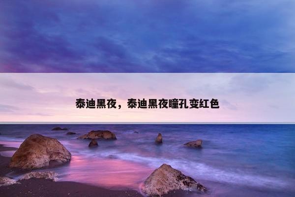 泰迪黑夜，泰迪黑夜瞳孔变红色