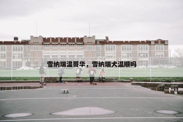 雪纳瑞温哥华，雪纳瑞犬温顺吗