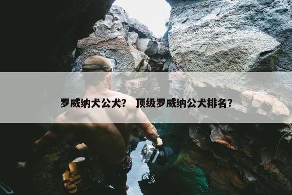 罗威纳犬公犬？ 顶级罗威纳公犬排名？