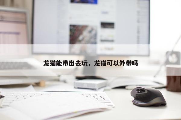 龙猫能带出去玩，龙猫可以外带吗