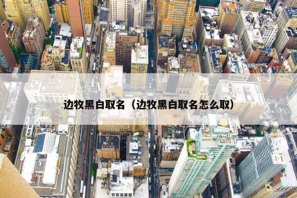 边牧黑白取名（边牧黑白取名怎么取）