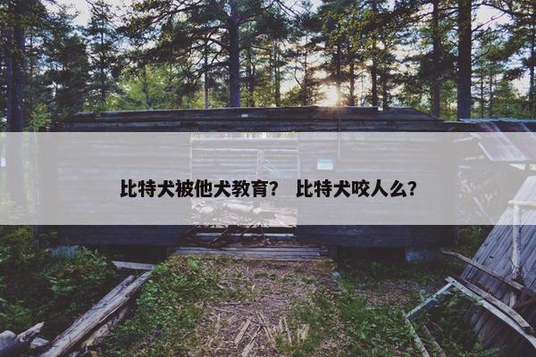 比特犬被他犬教育？ 比特犬咬人么？