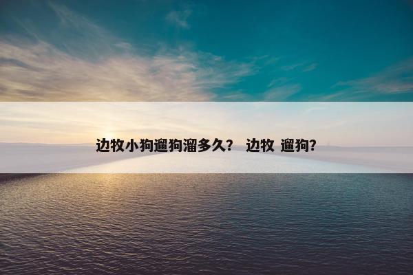 边牧小狗遛狗溜多久？ 边牧 遛狗？