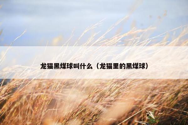 龙猫黑煤球叫什么（龙猫里的黑煤球）