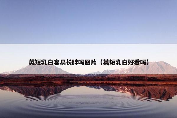 英短乳白容易长胖吗图片（英短乳白好看吗）