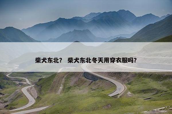 柴犬东北？ 柴犬东北冬天用穿衣服吗？