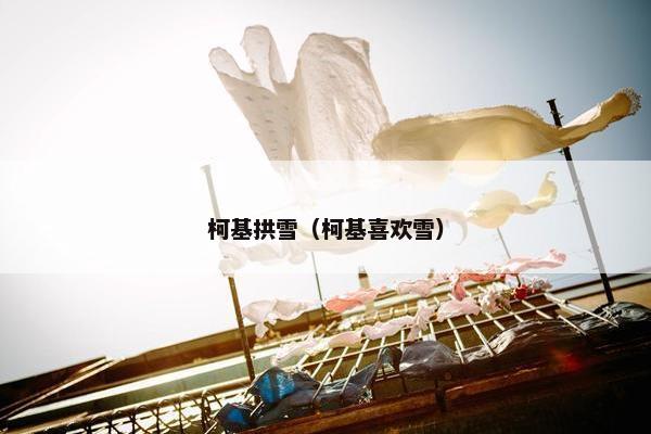 柯基拱雪（柯基喜欢雪）